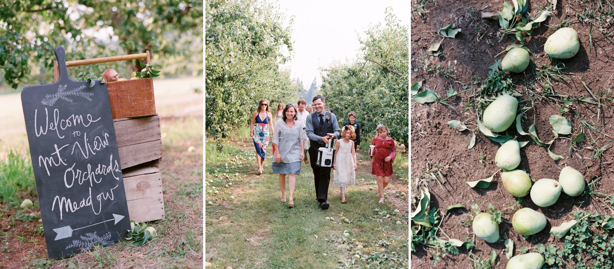 Hood River wedding photographer, orchard wedding, Mt. View, wedding details, Simply splendid