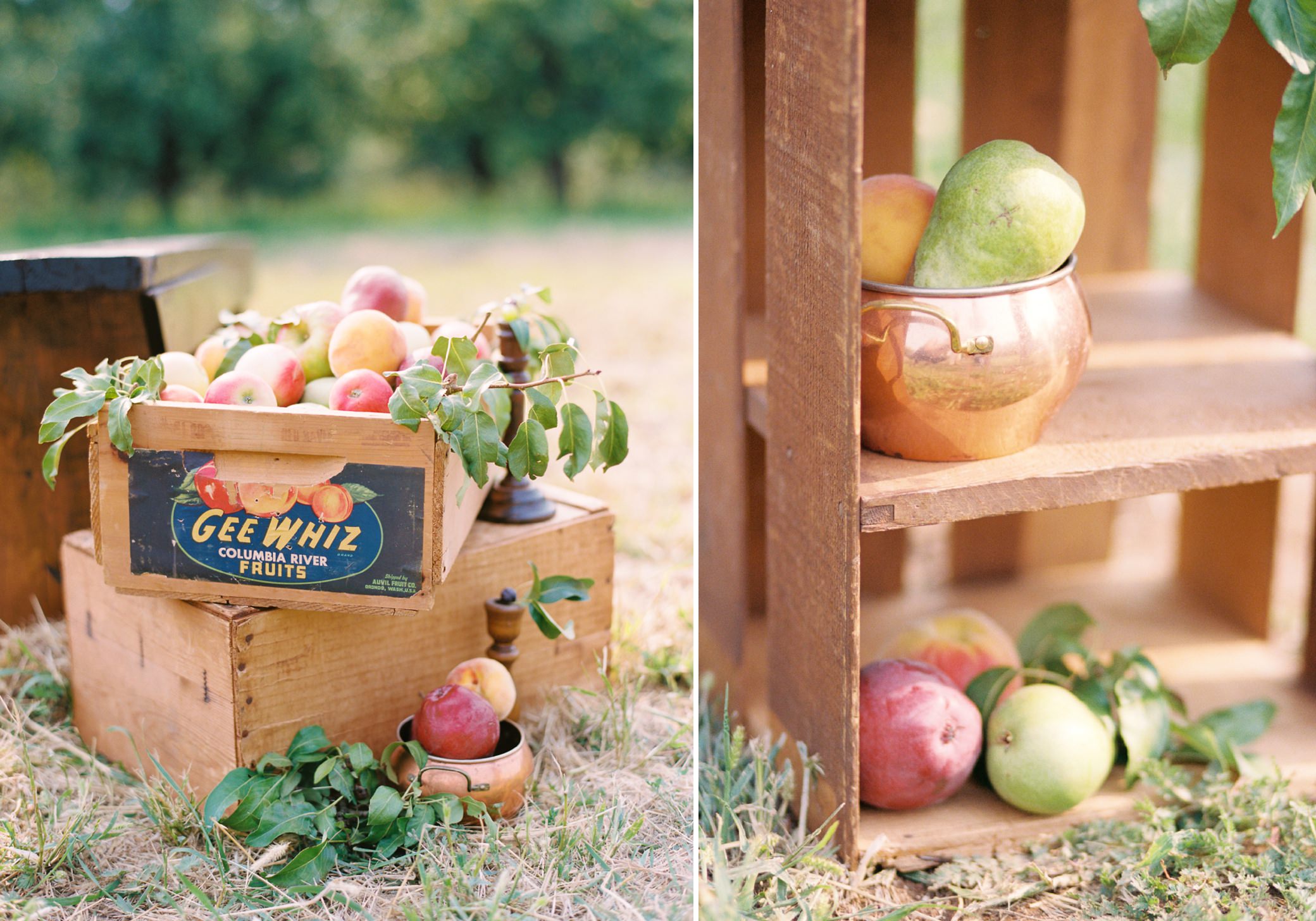 fruit wedding inspiration, ceremony decorations, Simply Splendid, Parkdale, Mt. Hood, meadow wedding, apples, pears, peaches